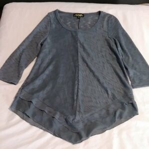 Absolutely Famous womens top